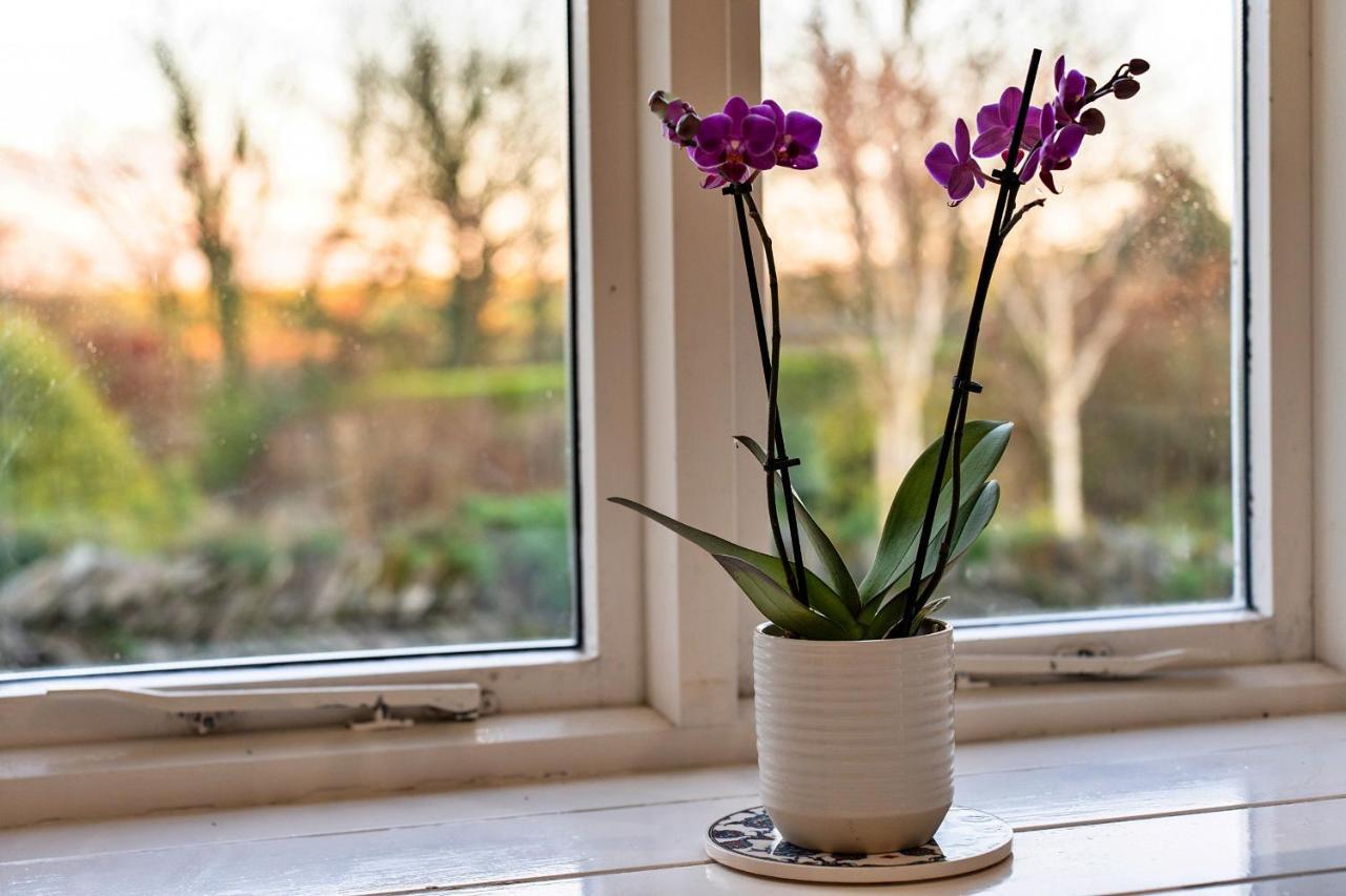Finest Retreats - Jenny Wren Apartment